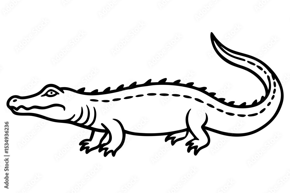 Obraz premium Crocodile Outline Illustration