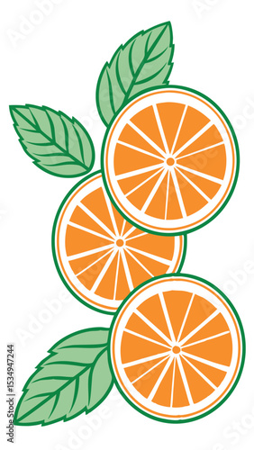 Citrus fruits illustration of orange slices and green leaves with a clean and fresh design