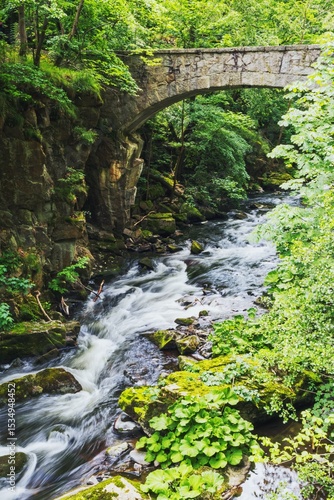 
Long-term photograph of the wild Bode with the old stone arch bridge in the Bodetal