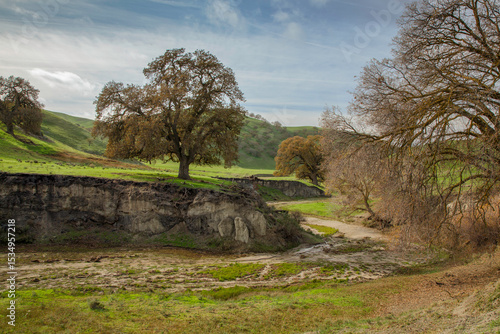 California spring on rural creek 
