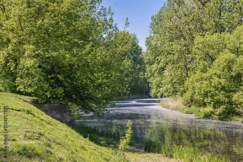 Wallpaper Mural Fluffy poplar seeds float gracefully in river water on a sunny day Torontodigital.ca