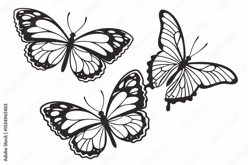 Fototapeta premium Black Butterfly Vector Set – Winged Insect Silhouettes