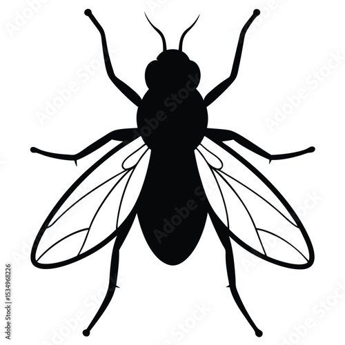 Silhouette of a Fly Black and White Insect Graphic Art Vector 