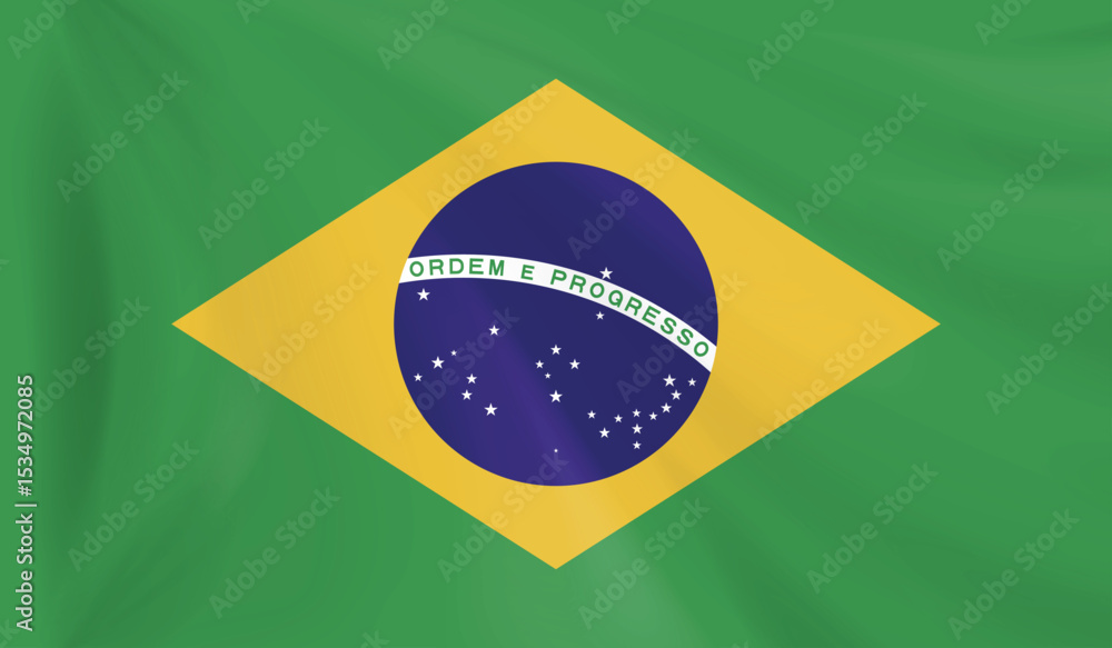 Fototapeta premium National flag of Brazil Vector graphics.