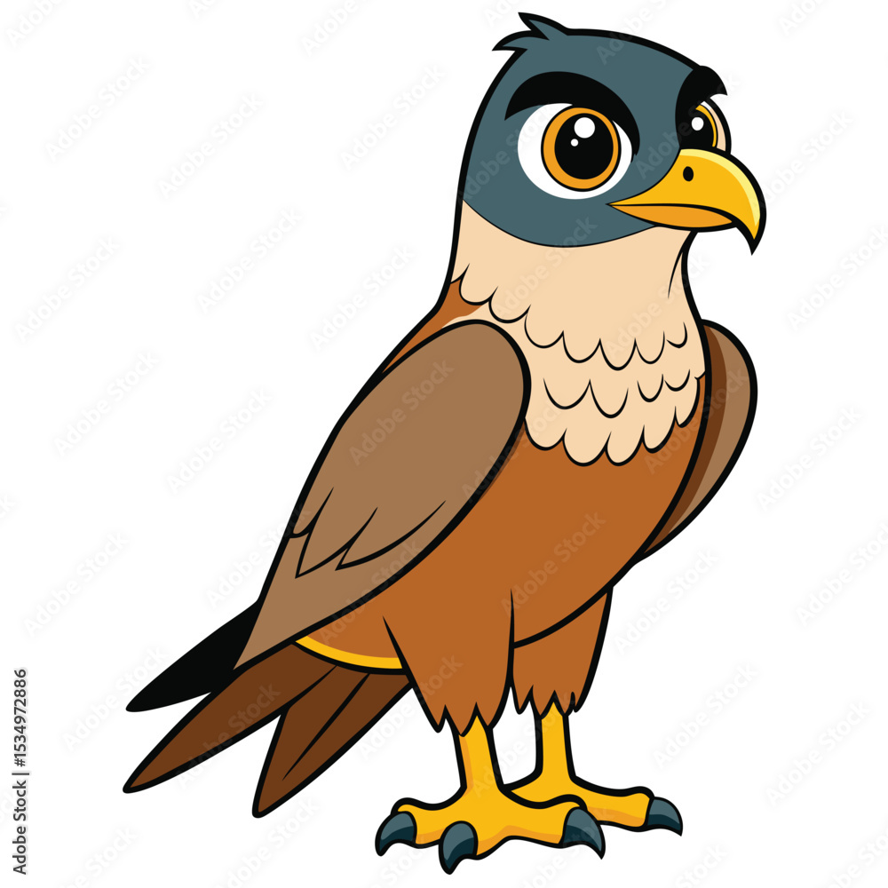 Fototapeta premium Falcon white background