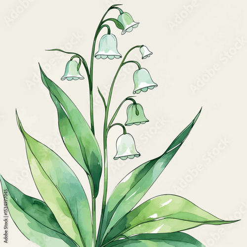 Watercolor Lily of the Valley Artistic Illustration - Soft Pastel Botanical Flower with Elegant Outline