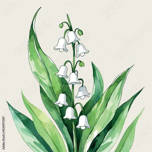 Watercolor Lily of the Valley Artistic Illustration - Soft Pastel Botanical Flower with Elegant Outline