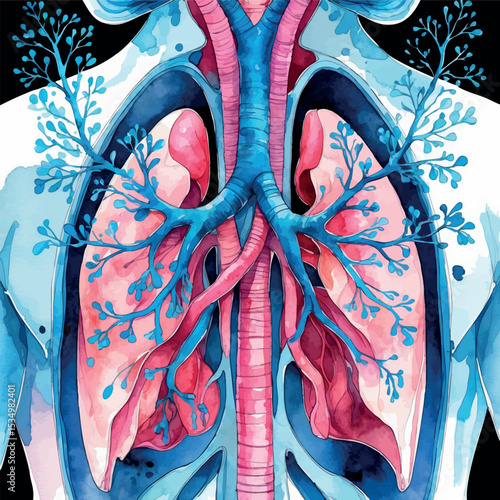 Human lungs with bronchial tree watercolor artwork. Botanical-inspired anatomical illustration with delicate blue and pink palette.