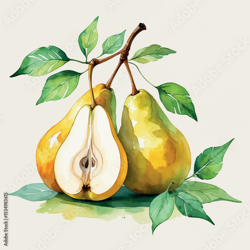 Watercolor pears in golden yellow and green with one sliced and included leaves on white