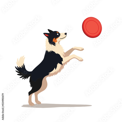 Border Collie leaping to catch red frisbee, playful energy