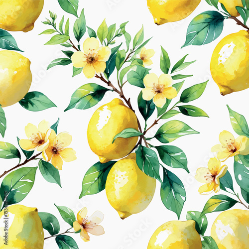 Watercolor lemon branch with blossoms and leaves soft botanical fruit illustration on white