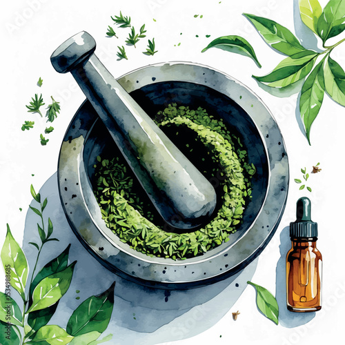 Watercolor vector of natural herbal skincare set with green tea and mortar