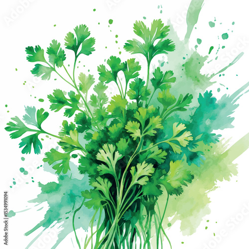 Whimsical Cilantro and Parsley Watercolor Art. Abstract Green Herbs Kitchen Illustration.
