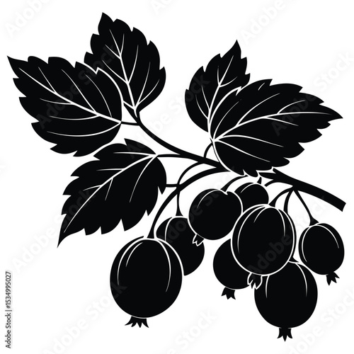 Blackcurrant branch with leaves and berries