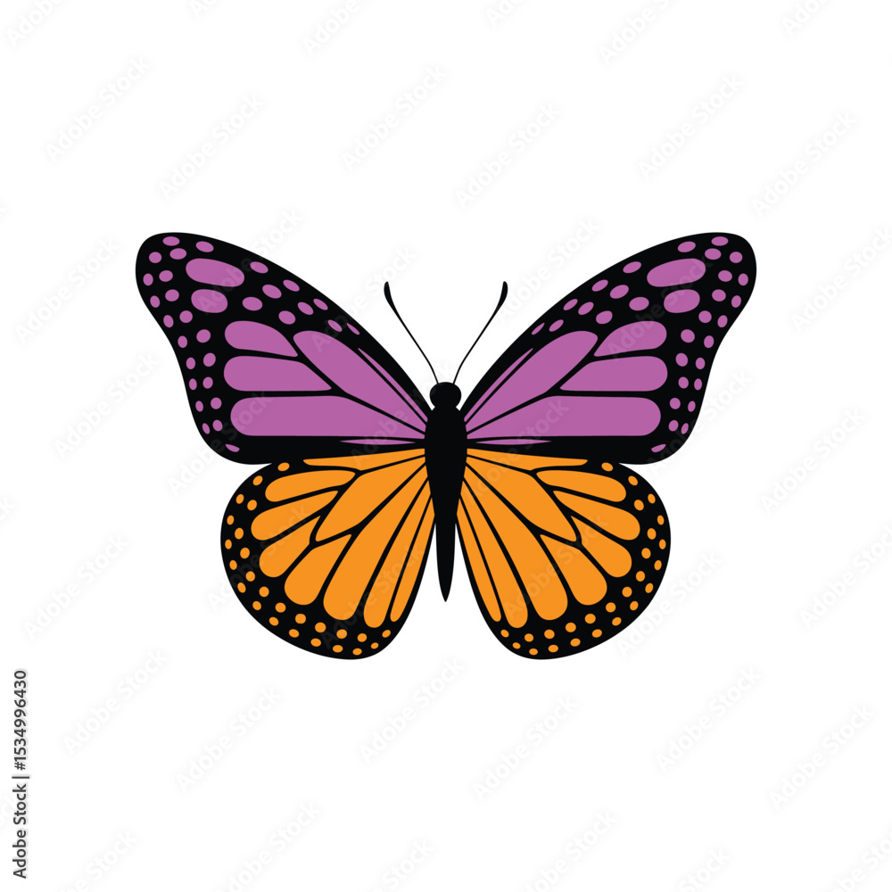 Purple and Orange Butterfly Vector Illustration on White Background. Purple and Orange Butterfly Vector Illustration on White Background.