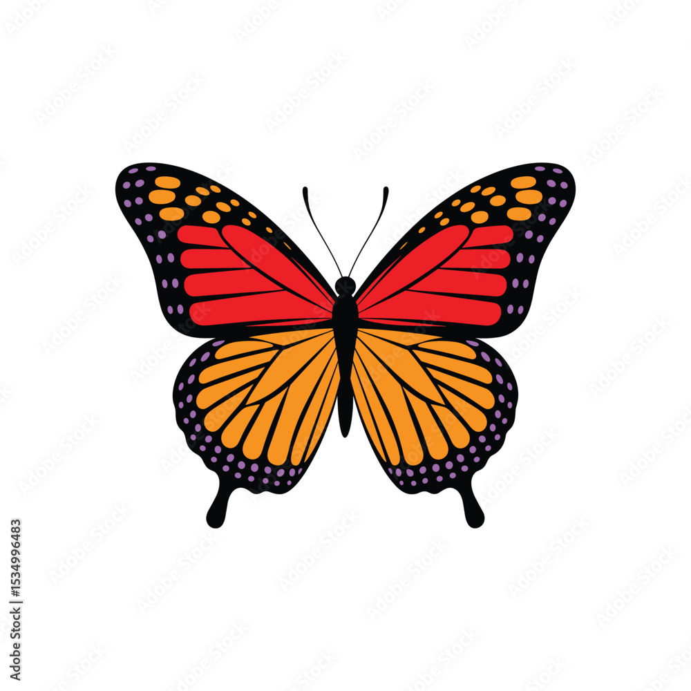 Red and Orange Monarch Butterfly Vector on White Background. Red and Orange Monarch Butterfly Vector on White Background.