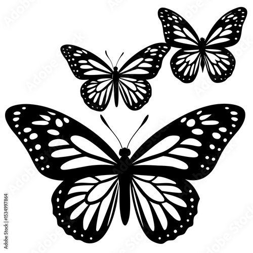 butterfly vector illustration