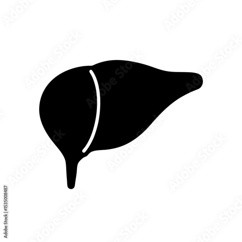 liver icon on white background  .svg