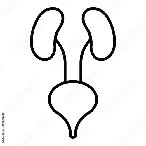 Urinary system icon simple flat icon vector symbol