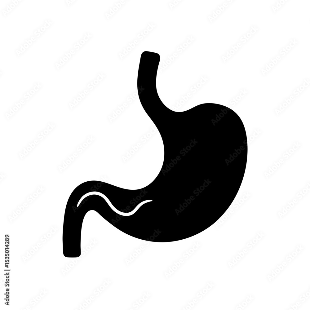 stomach icon on white background .svg stomach icon on white background .svg