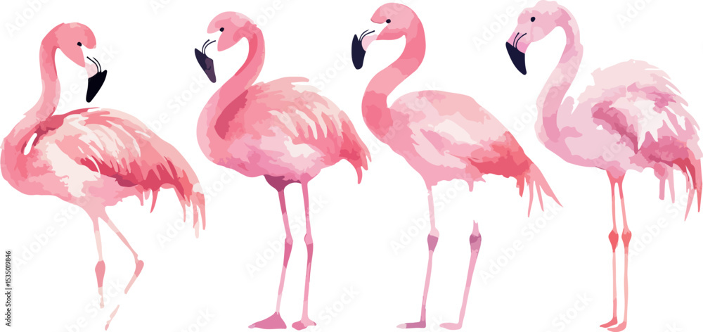 Obraz premium Watercolor Flamingo Flock A Group of Four Pink Birds Standing Tall on a White Background Perfect for Summer Designs Tropical Themes and Artistic Illustrations