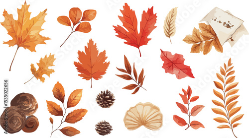 Watercolor Autumn Elements Collection with Leaves Pine Cones and Mushrooms Isolated on White Background for Seasonal Designs and Creative Projects Perfect for Fall Themes