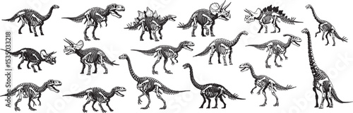 Dinosaur skeletons illustration fossil bones of prehistoric animals extinct reptiles drawing art design