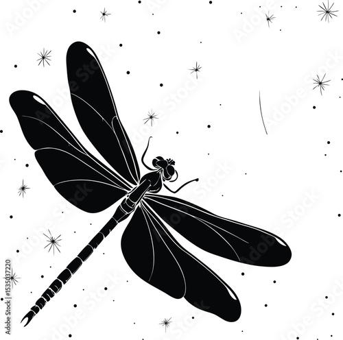 dragonfly on black background