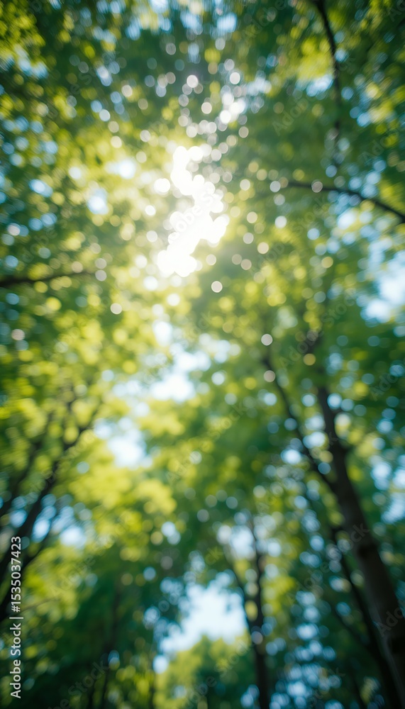 Obraz premium blurred sunlight filtering through dense green forest tree canopy creating peaceful natural atmosphere