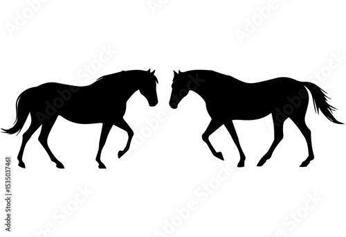 Black horse silhouettes, two horses walking isolated on Transparent Background