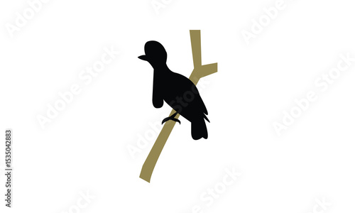 Amazonian umbrellabird bird Silhouette Design  And Vector Illustration. 