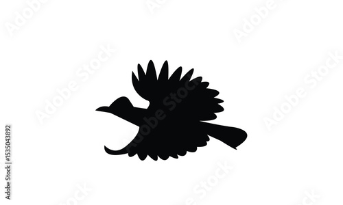 Amazonian umbrellabird bird Silhouette Design  And Vector Illustration. 
