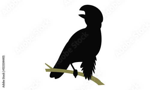 Amazonian umbrellabird bird Silhouette Design  And Vector Illustration. 