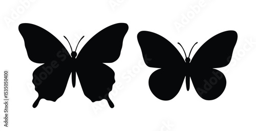 butterfly vector illustration