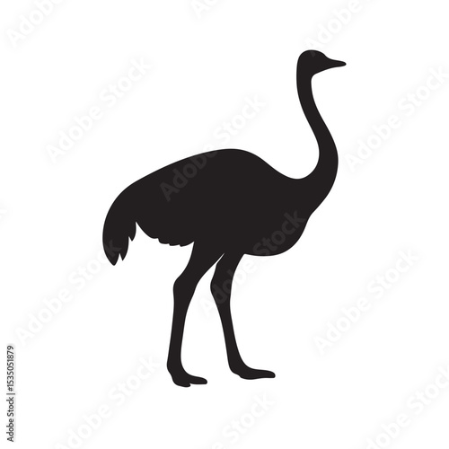 Ostrich Silhouette – Large Flightless Bird Vector on White Background