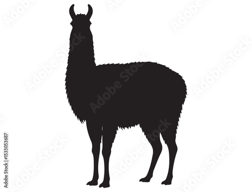 LLAMA SILHOUETTE 