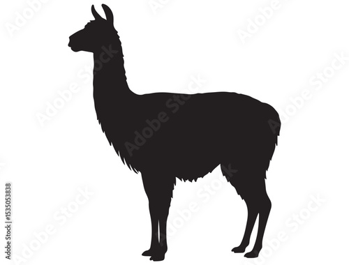 LLAMA SILHOUETTE 