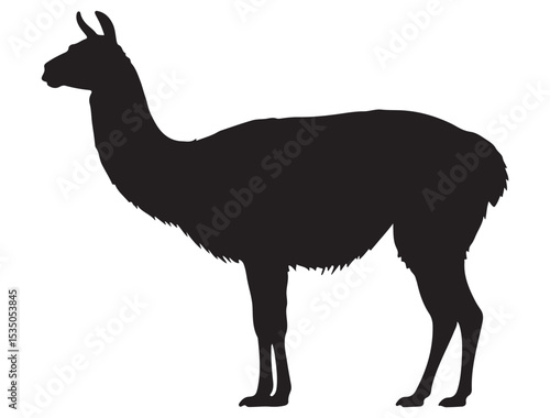 LLAMA SILHOUETTE 