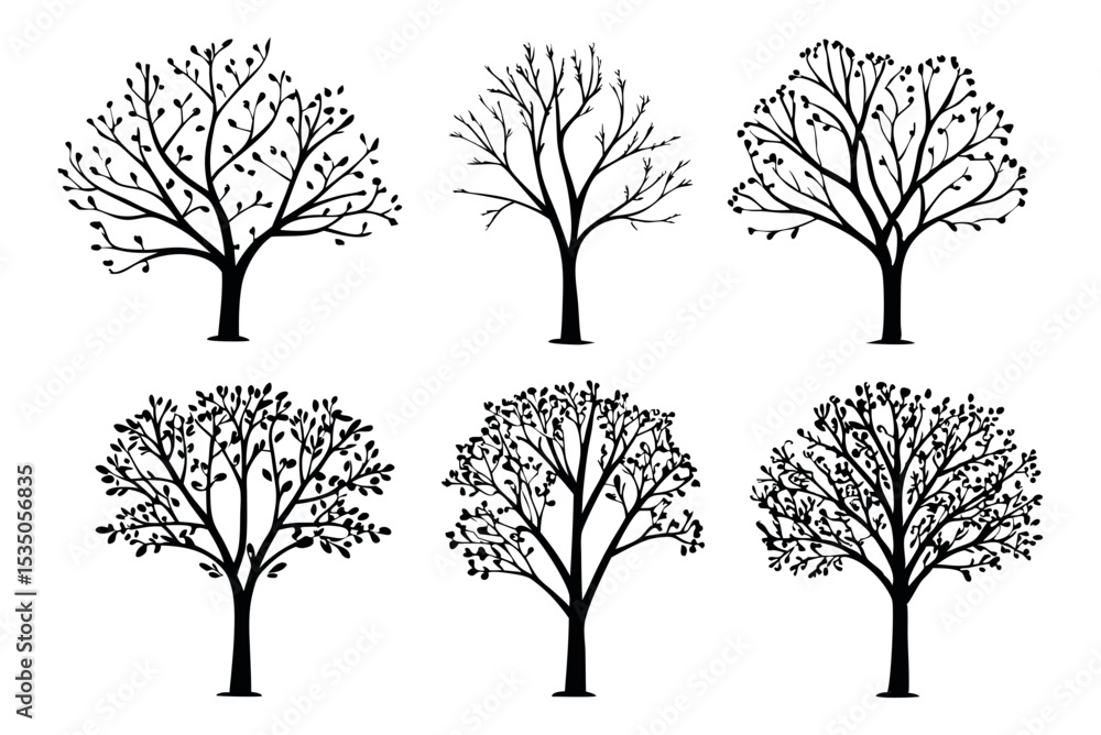 Obraz premium Colorful Autumn Leaves Quercus Palustris Vector