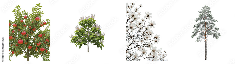 Obraz premium Forest Trees Isolated Set