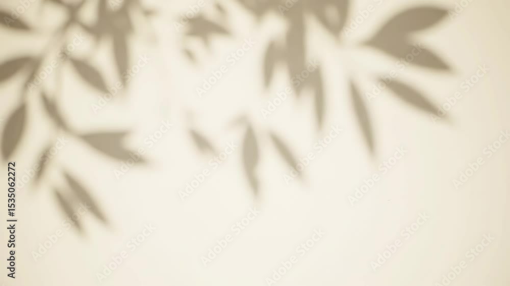 Aesthetic plant leaf shadow overlay moving on beige wall in sunlight. 4K seamless loop video for calm product mockups, minimalist backgrounds, or wellness visuals.
