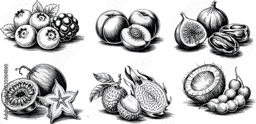 a collection of various fruits, including berries, peaches, figs, kiwi, star fruit, lychee, dragon fruit, and coconut, rendered in a detailed black and white sketch style.