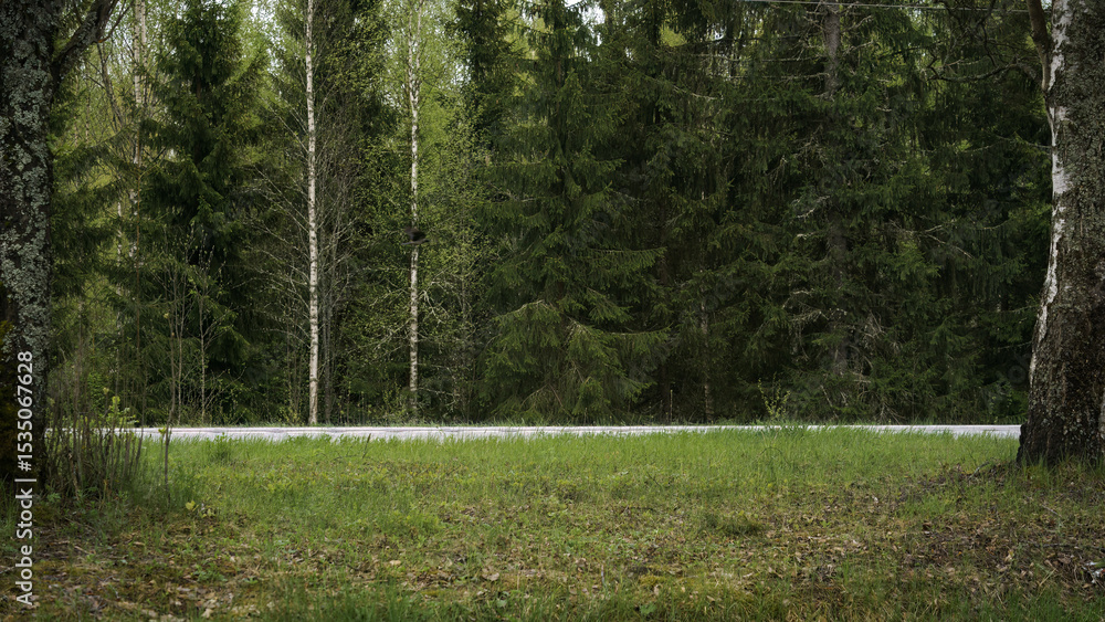 Obraz premium Side view of an empty countryside road next to a forest in Finland