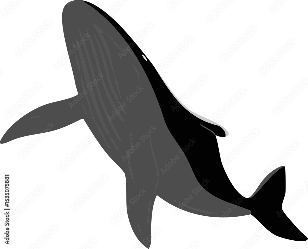 Obraz premium 역동적인 자세의 고래 실루엣