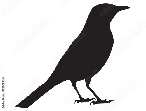 MOCKINGBIRD SILHOUETTE