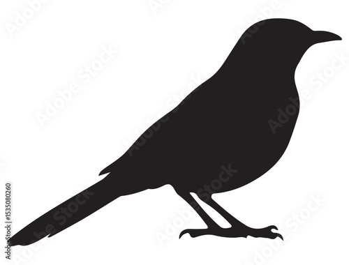 MOCKINGBIRD SILHOUETTE