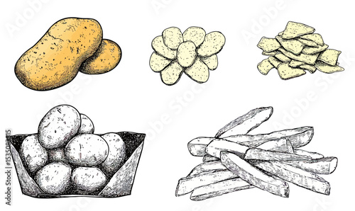 Hand drawn vintage vector illustration of whole potatoes, French fries, potato chips, and basket of potatoes in detailed sketch style for food concept