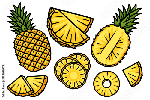 pineapple illustrations half cut pineapple sliced doodle