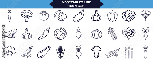 Fresh Vegetables Outline Icon Pack Set of Thin Linear Vector Icons Featuring Broccoli, Potato, Onion, Garlic, Lettuce, Spinach, Pepper, Cucumber, Pumpkin, Turnip, Celery, Cabbage, Mushroom for Eco 