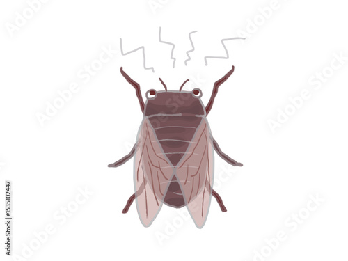 Illustration of a cicada resting its wings making a loud noise
